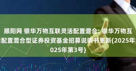 顺阳网 银华万物互联灵活配置混合: 银华万物互联灵活配置混合型证券投资基金招募说明书更新(2025年第3号)