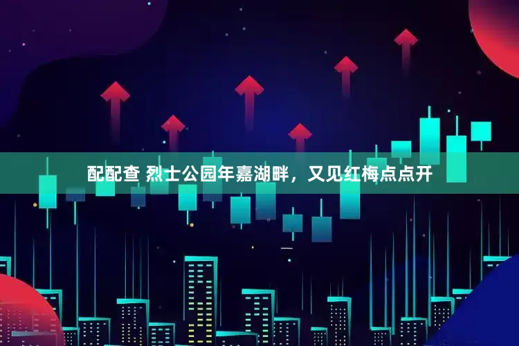 配配查 烈士公园年嘉湖畔，又见红梅点点开